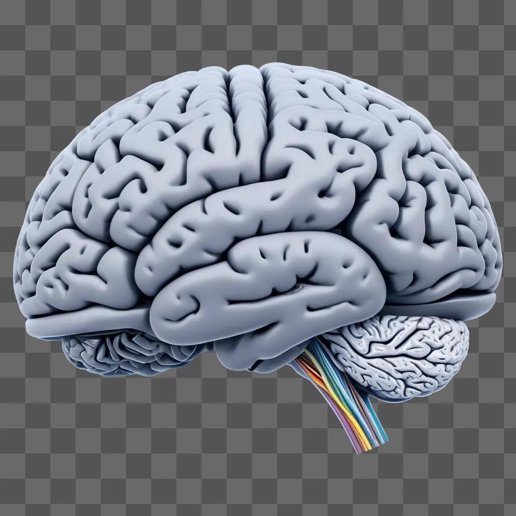 虹色の紐でリアルな脳の描画