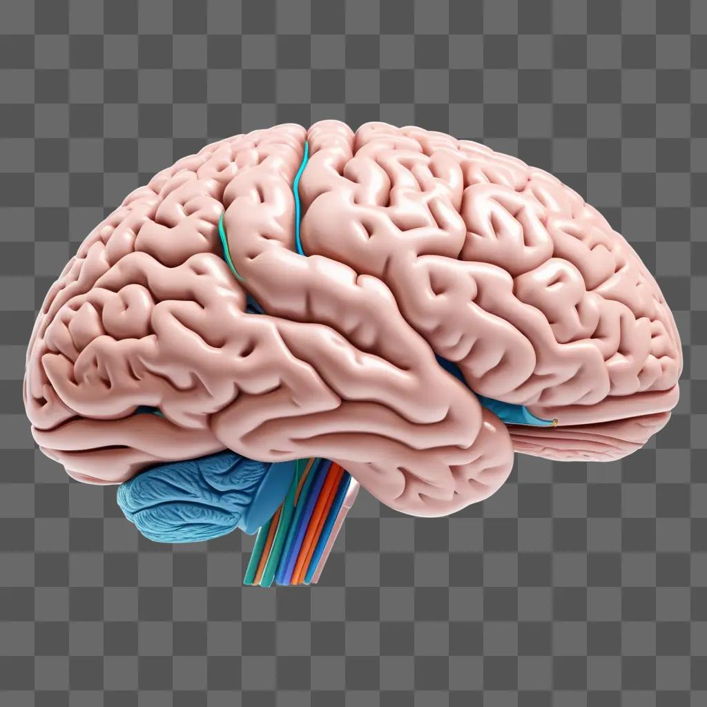 カラフルな動脈でリアルな脳の描画