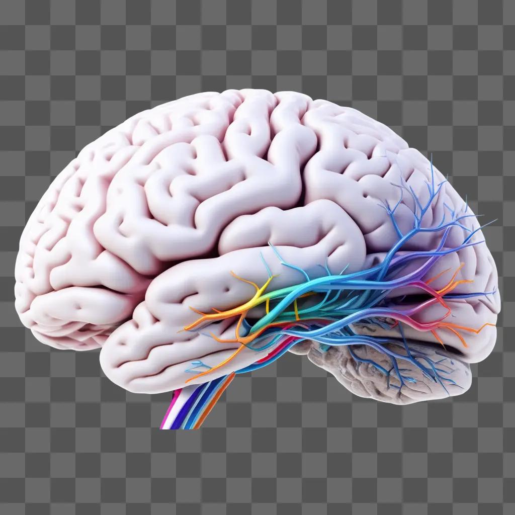 realistic drawing of a brain with colorful arteries