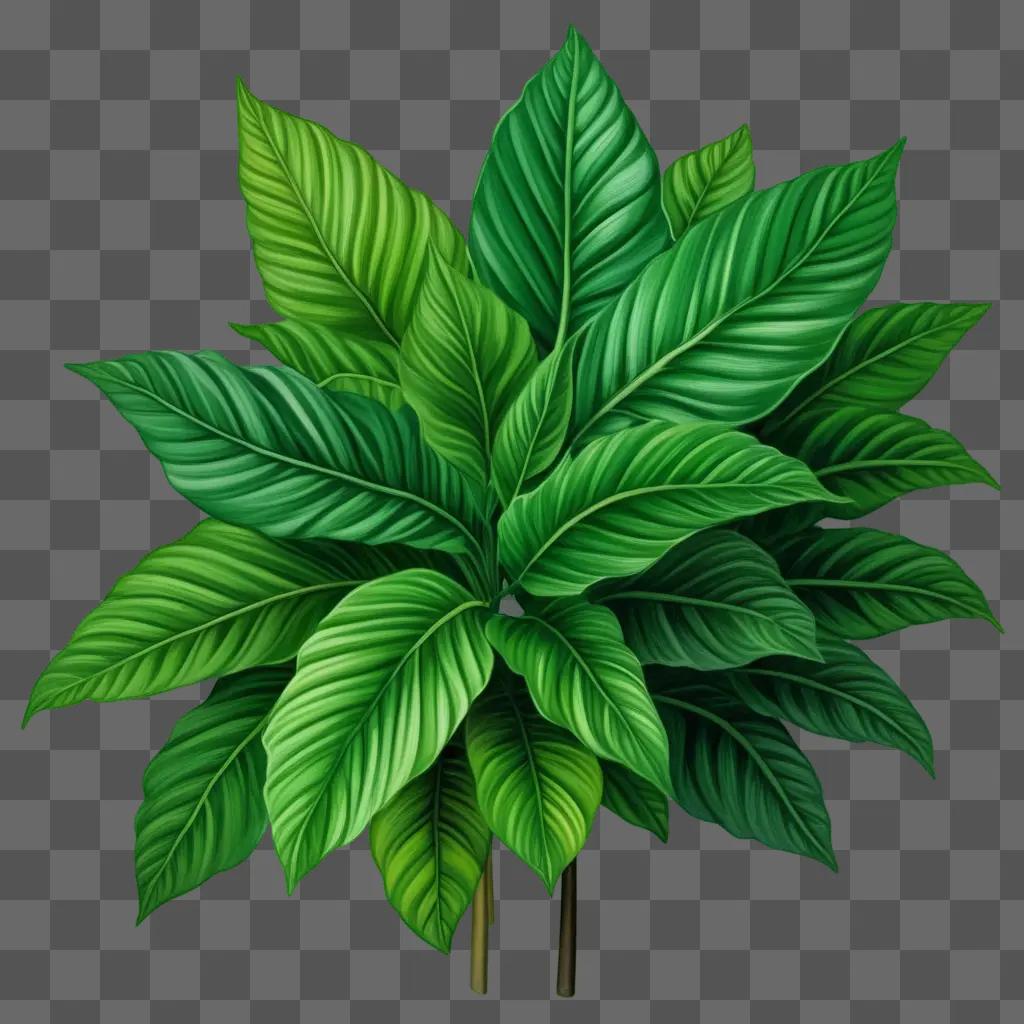 realistic drawing of a green plant against a green background