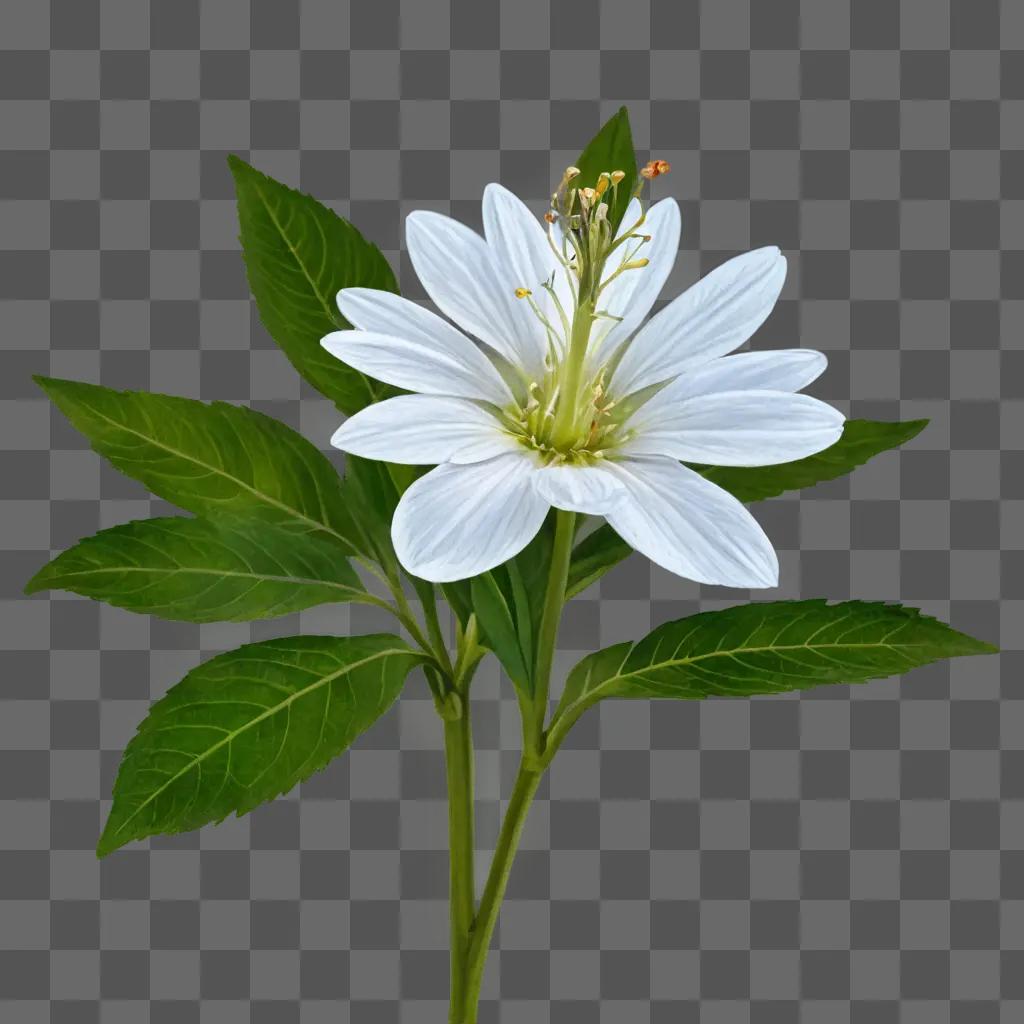 realistic flower drawing A white flower with a green stem and leaves