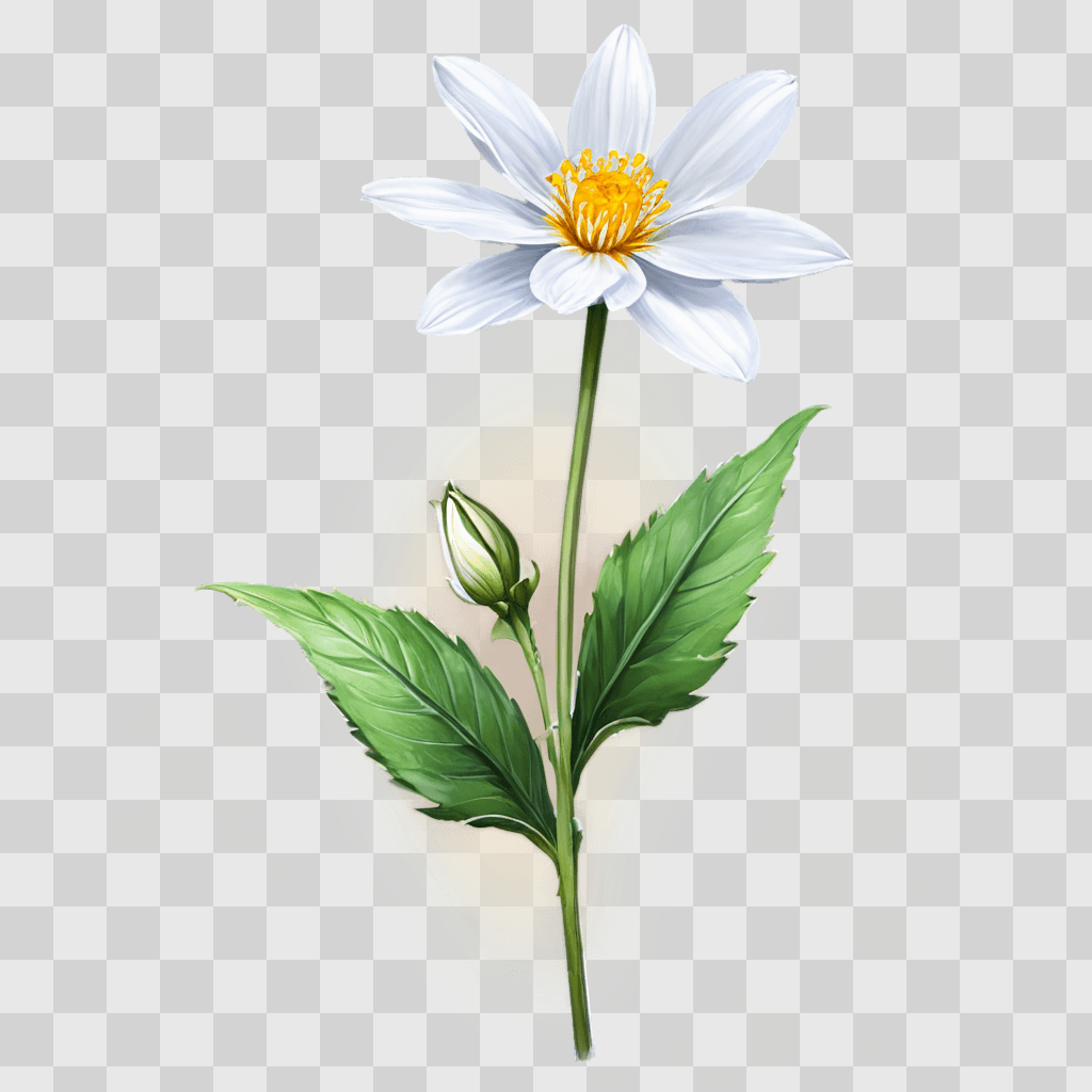 realistic flower drawing A white flower with yellow center on a green background