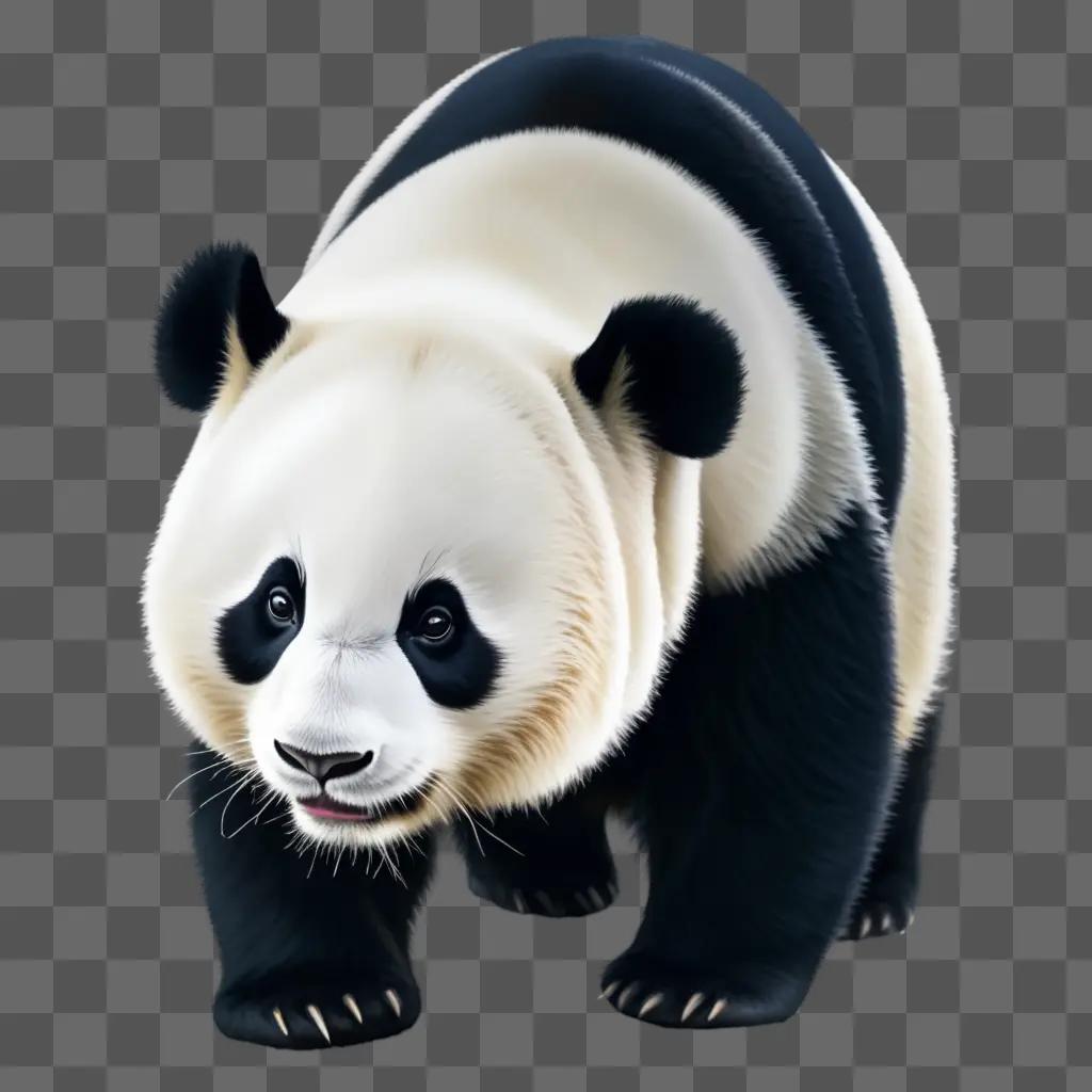 realistic panda drawing of a black and white panda