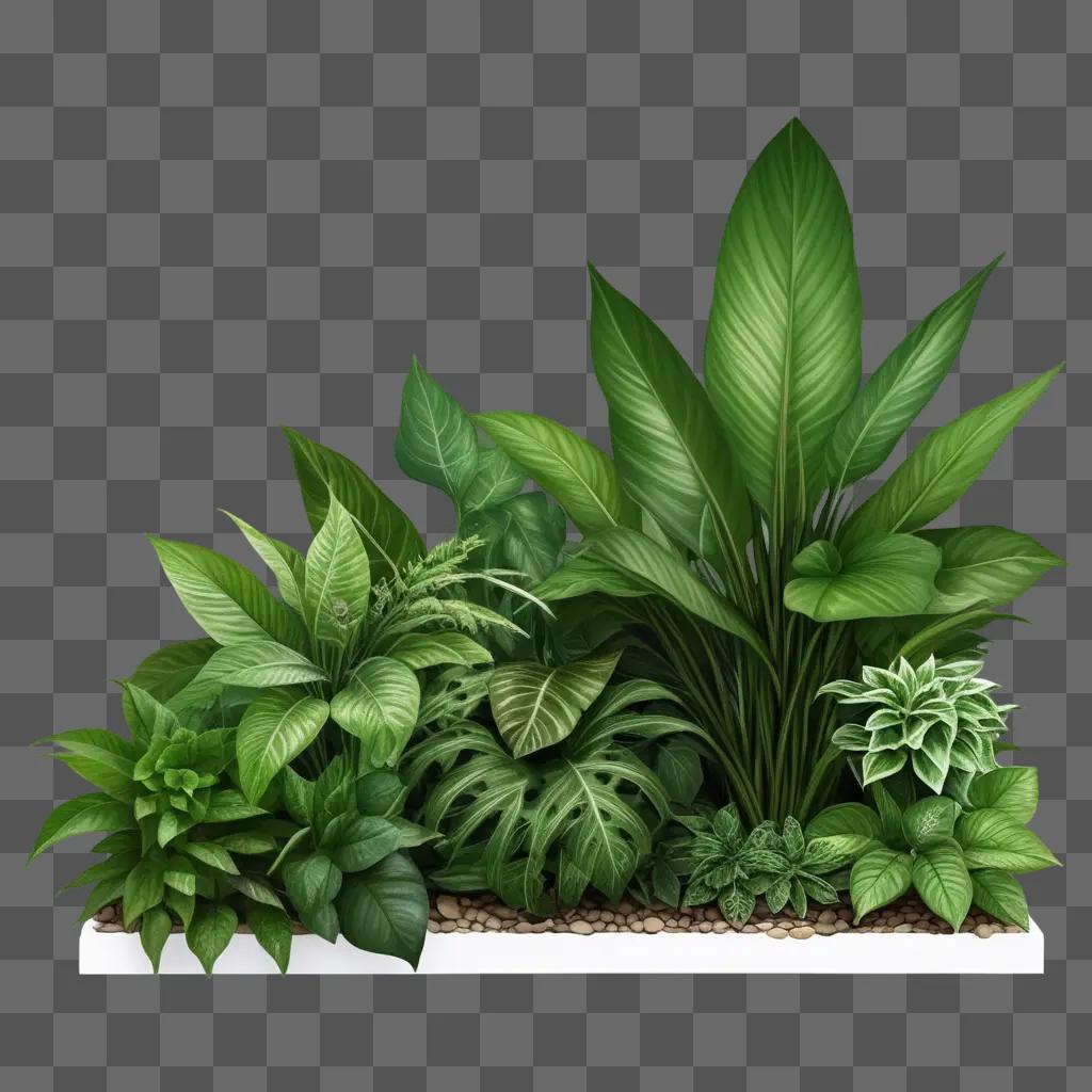 緑の背景にリアルな植物の絵