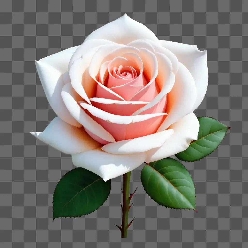 realistic rose drawing of a pink and white rose