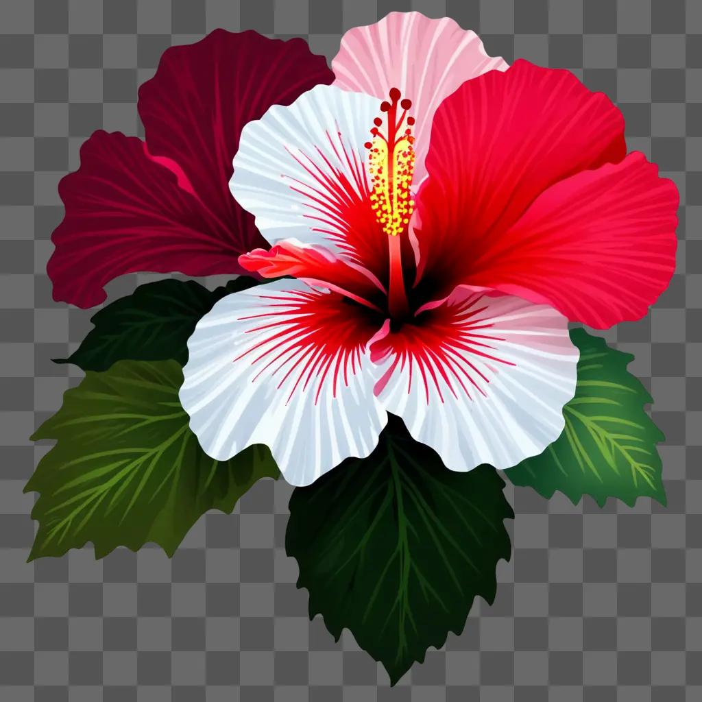 red and white hibiscus with green leaves