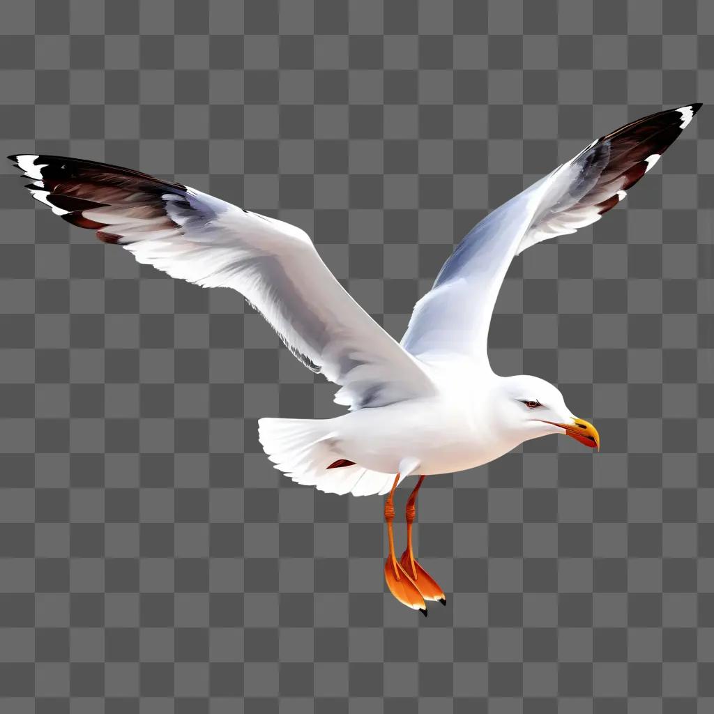 seagull in flight with bright wings