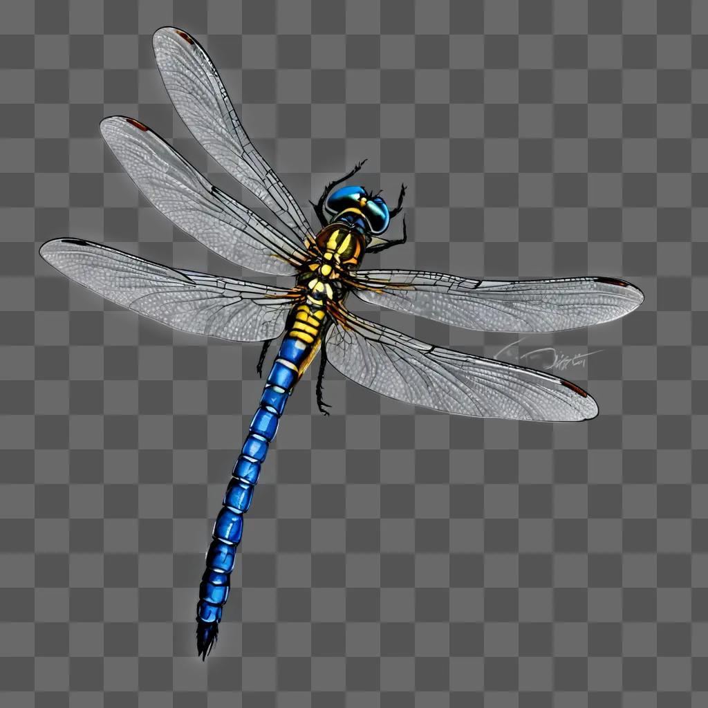 side dragonfly drawing A blue and yellow dragonfly on a gray background