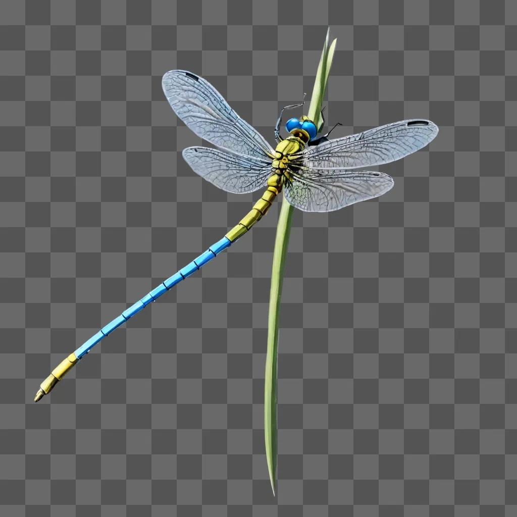 side dragonfly drawing A blue and yellow dragonfly sits on a green stem