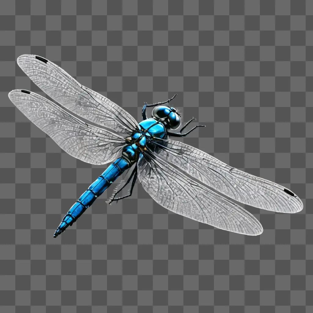 side dragonfly drawing A blue dragonfly with black and silver wings