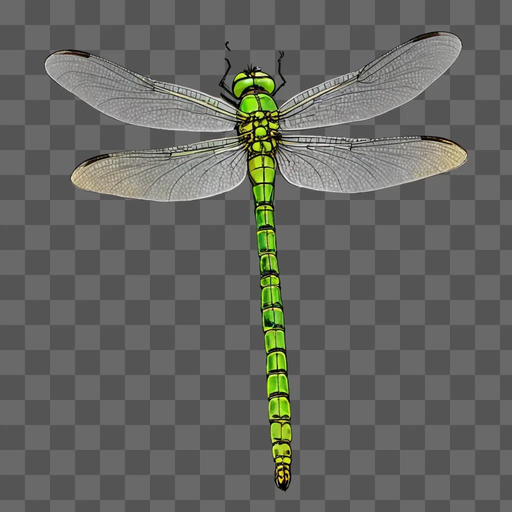 side dragonfly drawing Green dragonfly with a long green tail