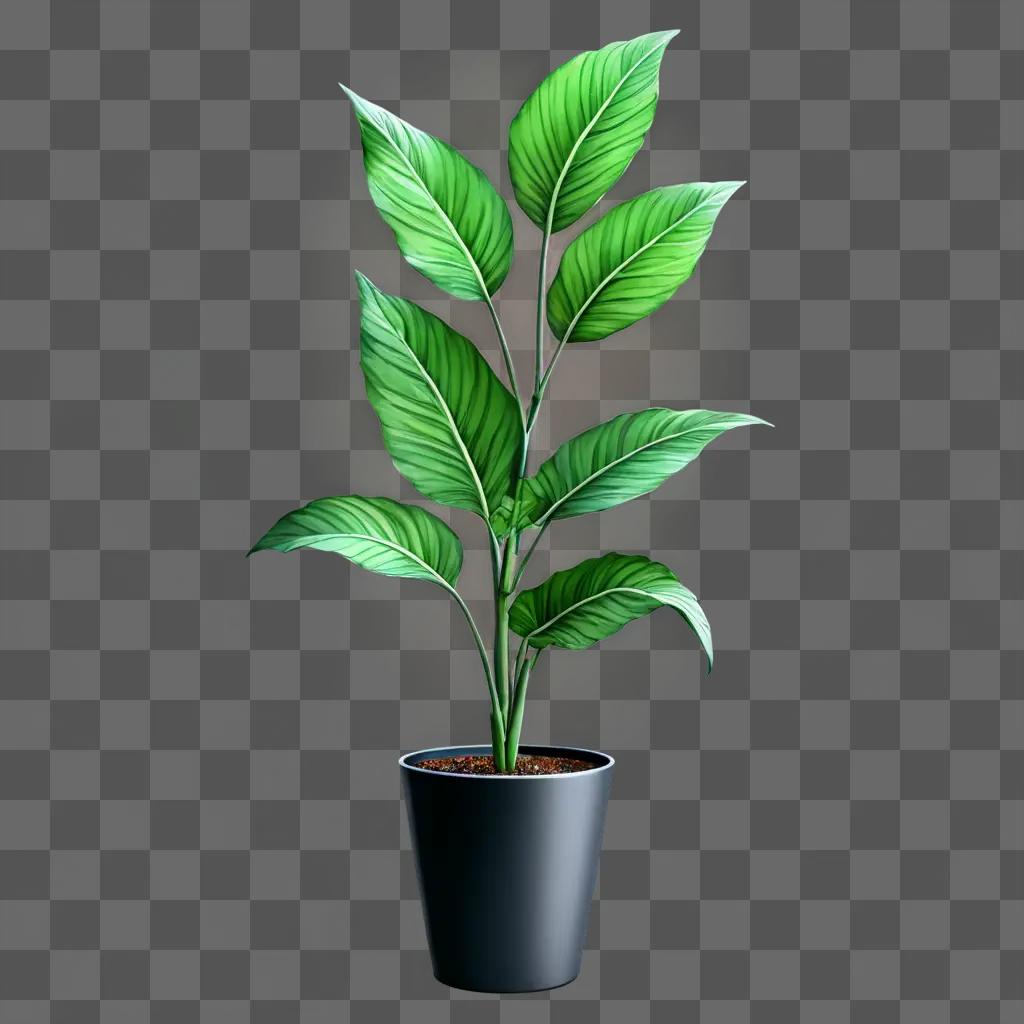 side plant drawing A plant in a pot against a green background