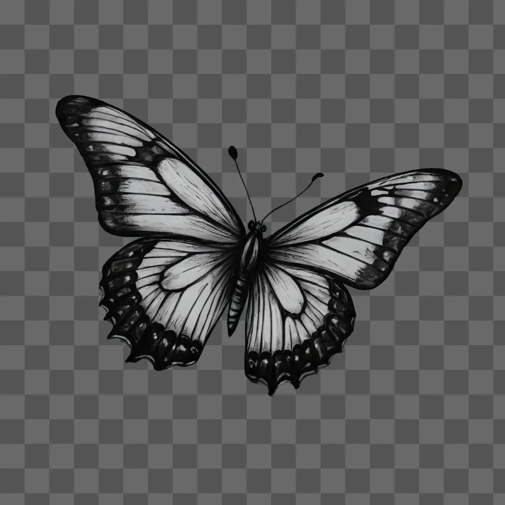 simple butterfly drawing Black and white butterfly with white markings on body