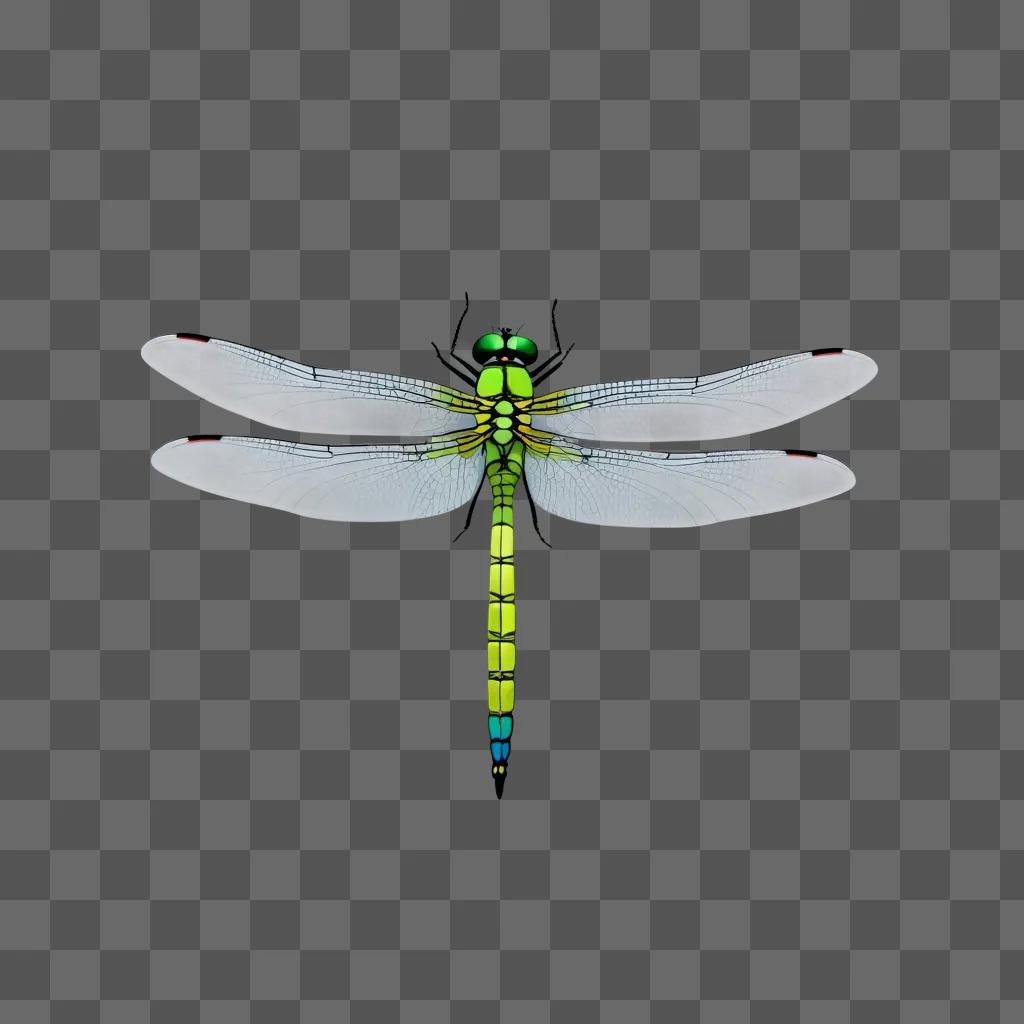 simple dragonfly drawing is on a grey background