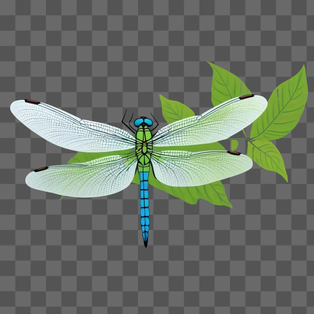 simple dragonfly drawing on a green background