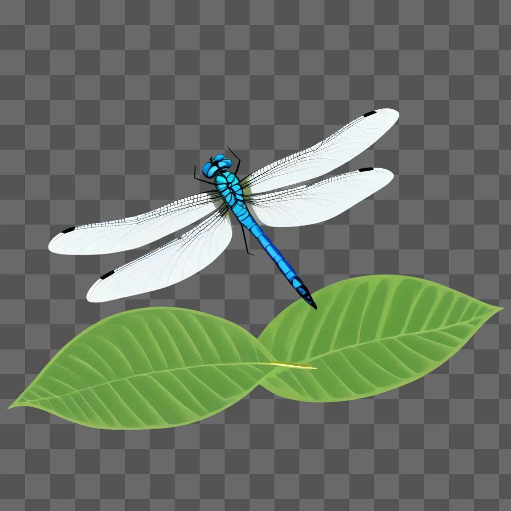 simple dragonfly drawing on green leaves