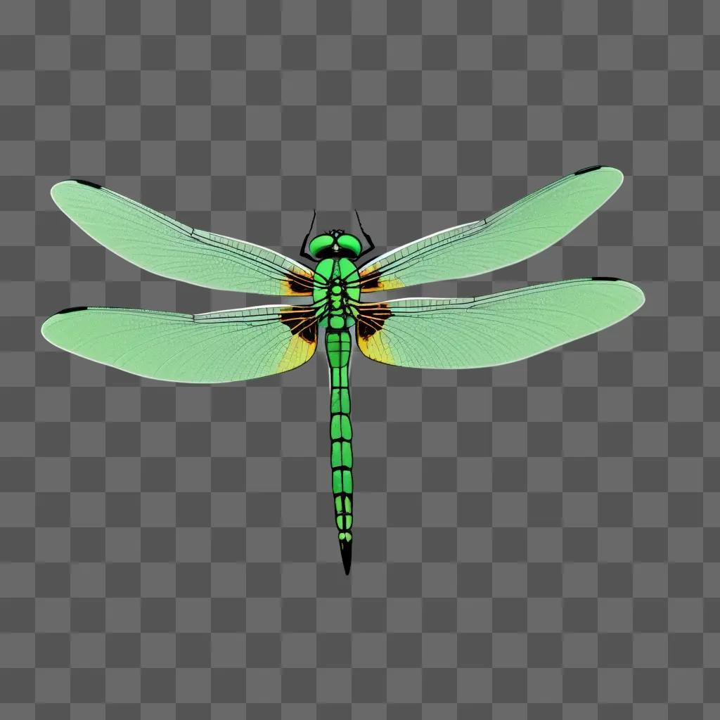 simple dragonfly is on a green background