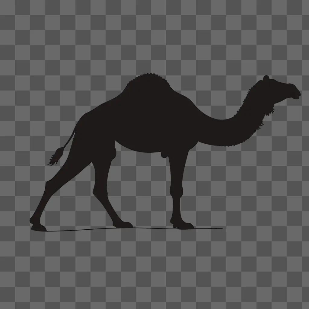 simple drawing of a camel on a black background