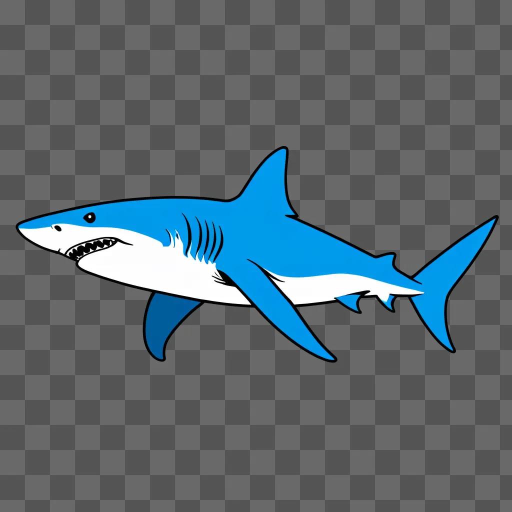 simple drawing of a shark against a blue background