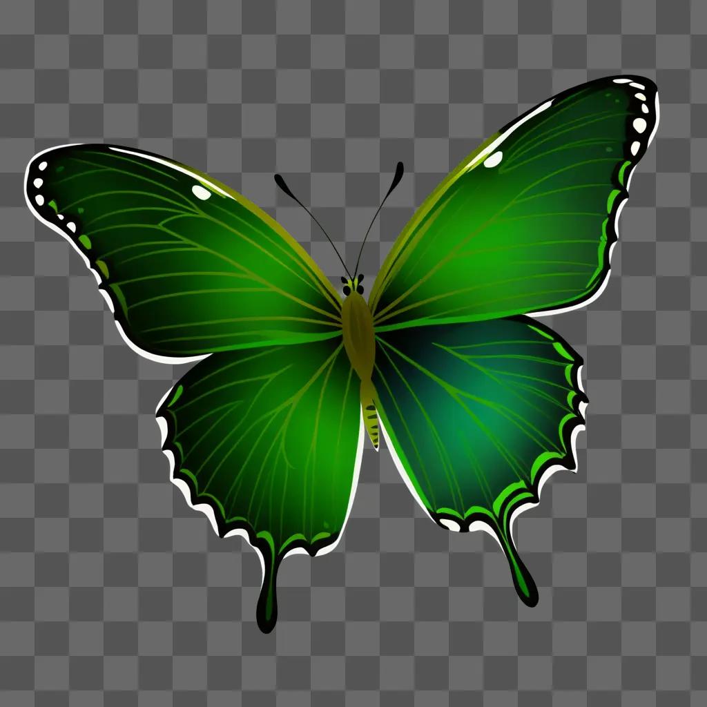 simple green butterfly drawing on a green background