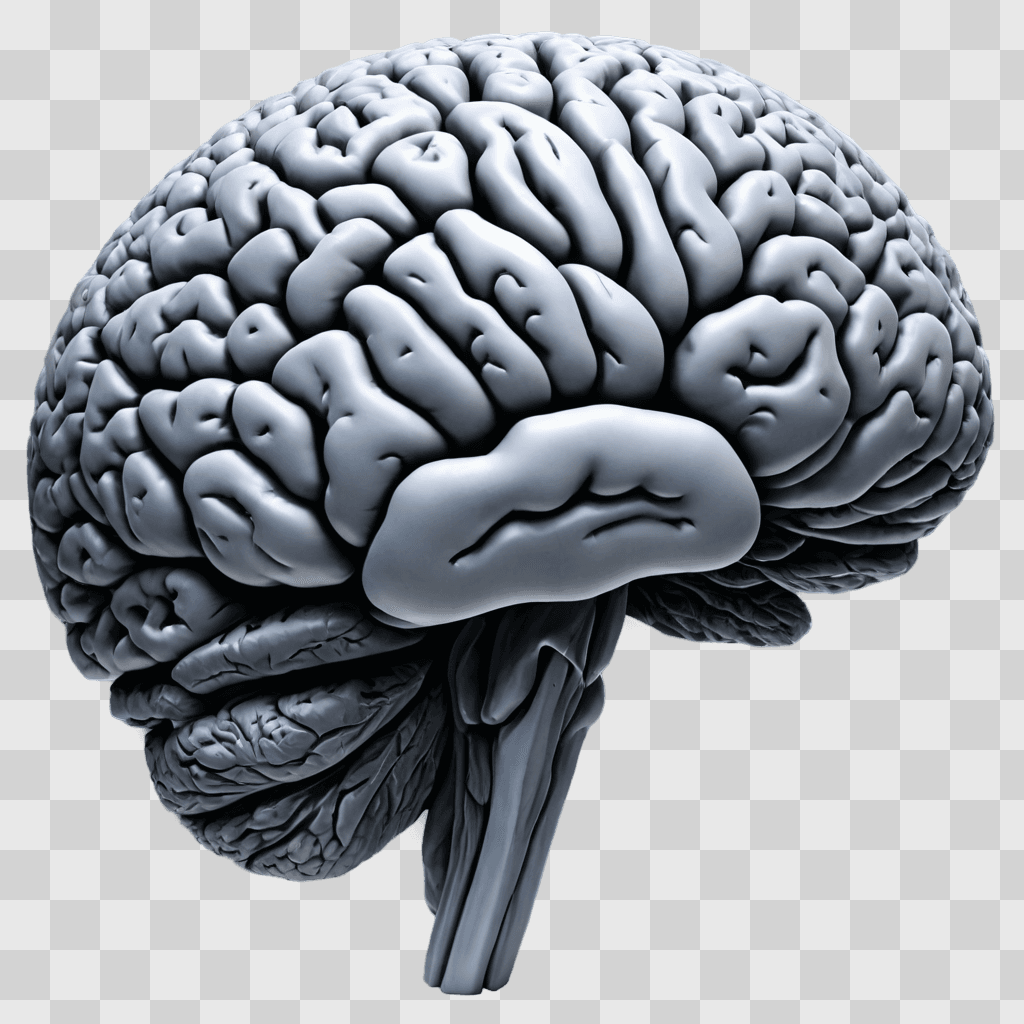 simple mountain drawing A brain is shown in a gray color