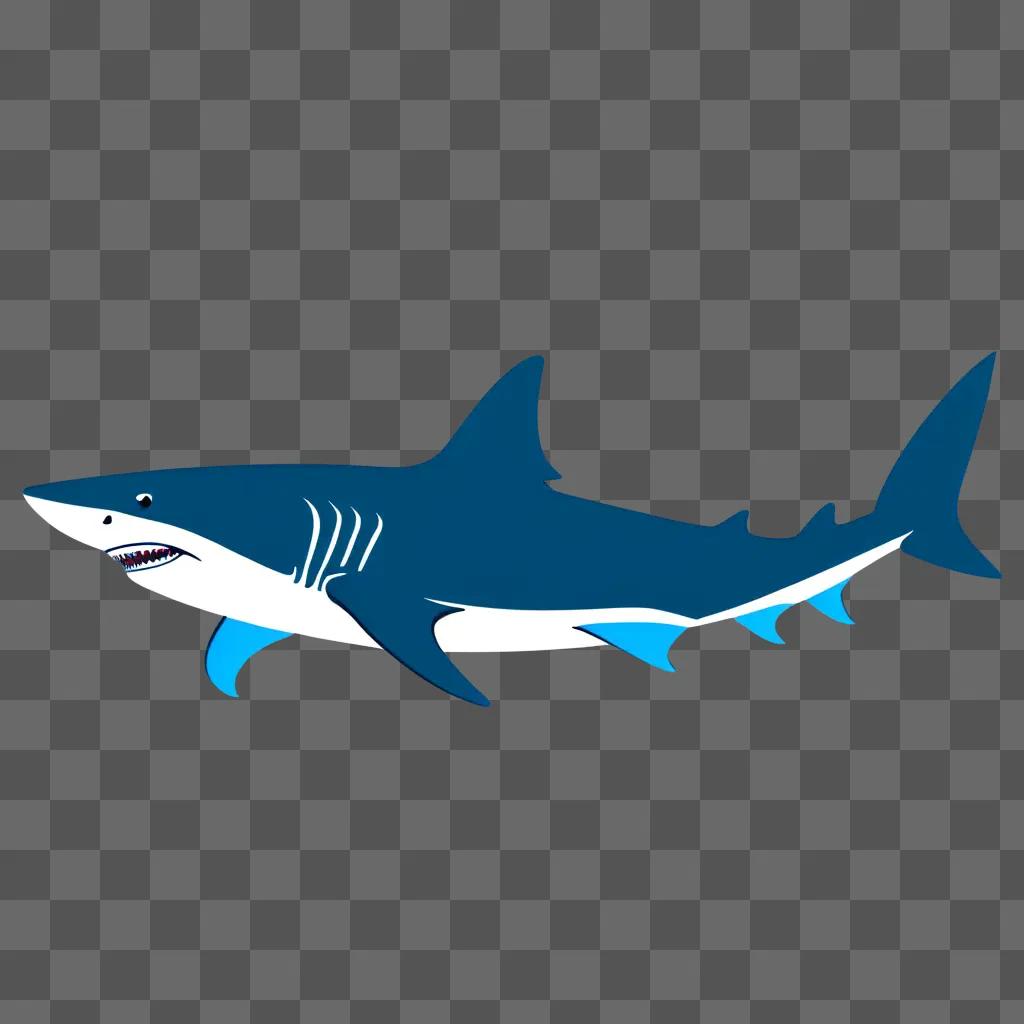 simple shark drawing on a blue background