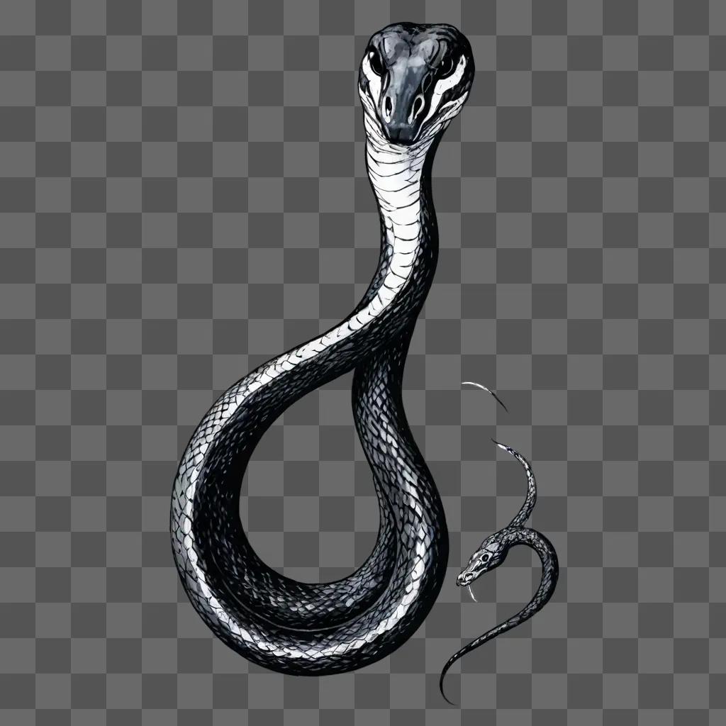 simple snake drawing A snake with two heads on a gray background