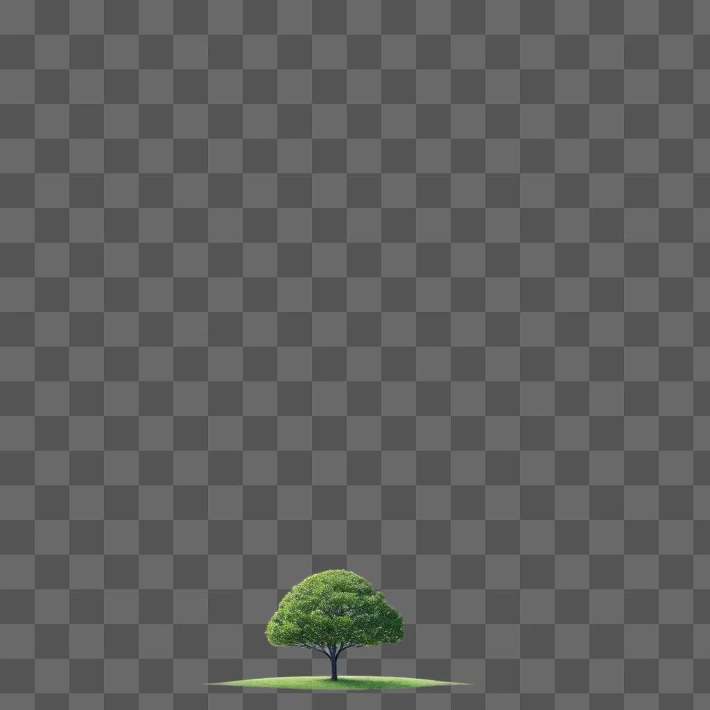 真っ白な緑の背景に一本の木が単独で立っている