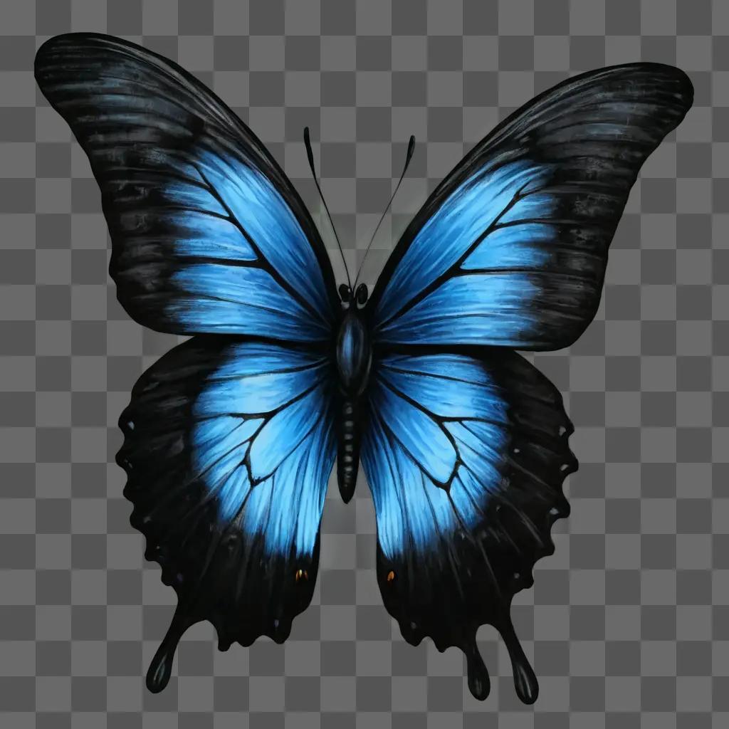 sketch butterfly drawing A blue butterfly is on a dark background