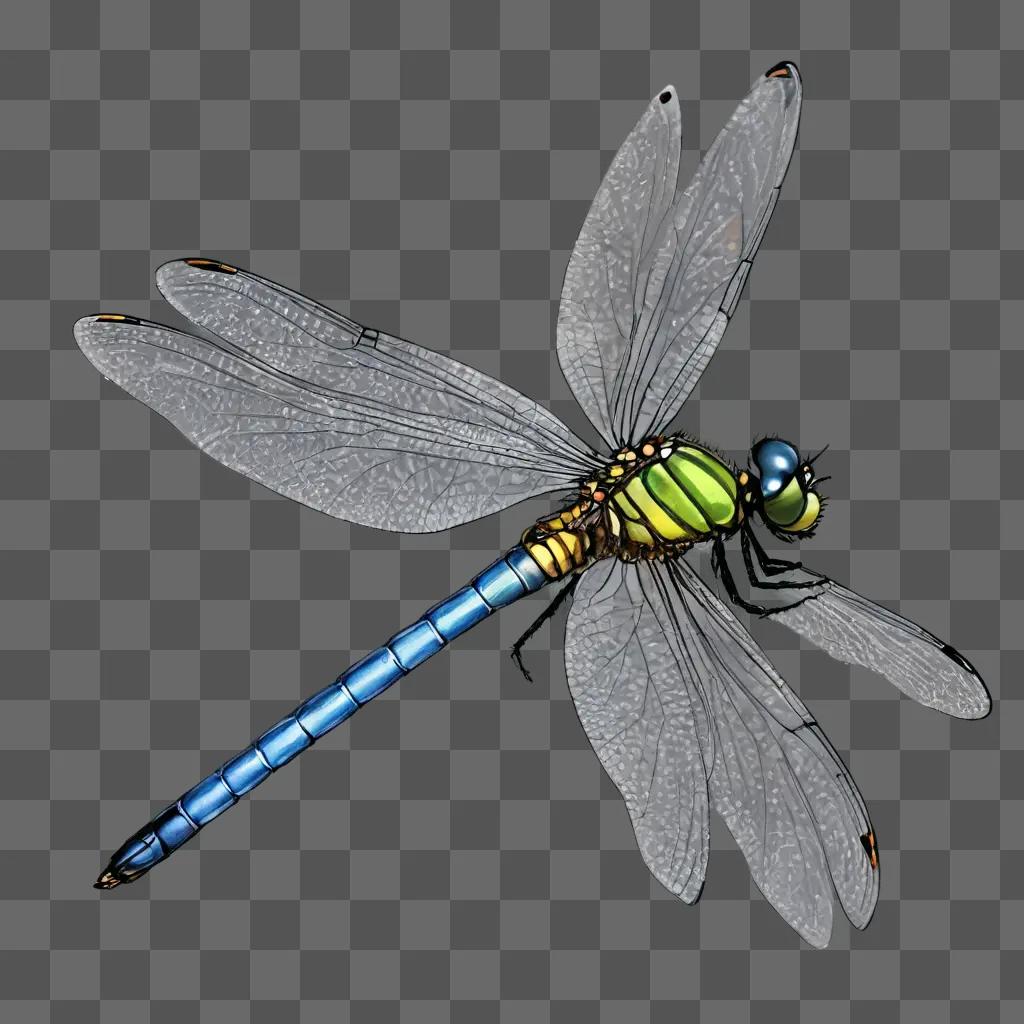 sketch dragonfly drawing A dragonfly with a blue wing and a yellow head