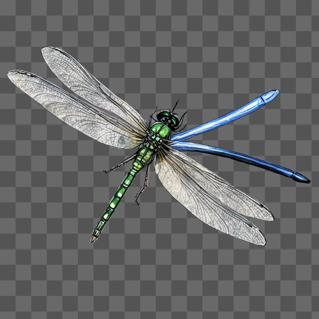 sketch dragonfly drawing A green dragonfly with blue wings