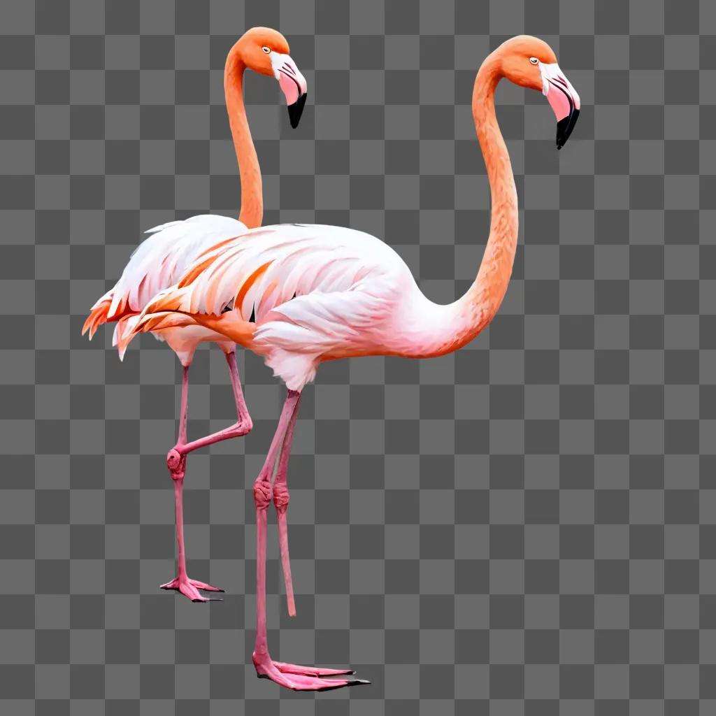 sketch flamingos drawing Two flamingos on a pink background with blurry edges