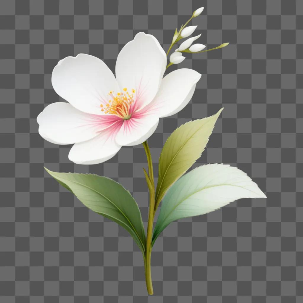 白い背景に小さな花の絵