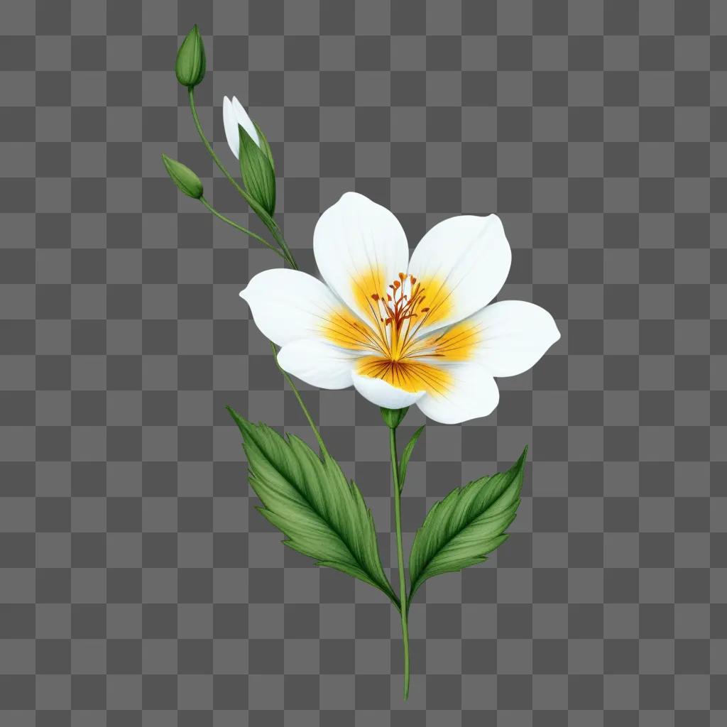 small flower is illustrated on a green background