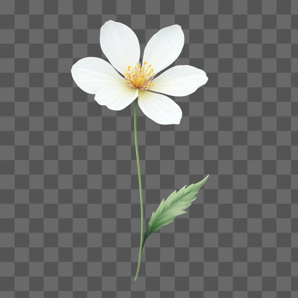 small white flower is depicted in a soft drawing