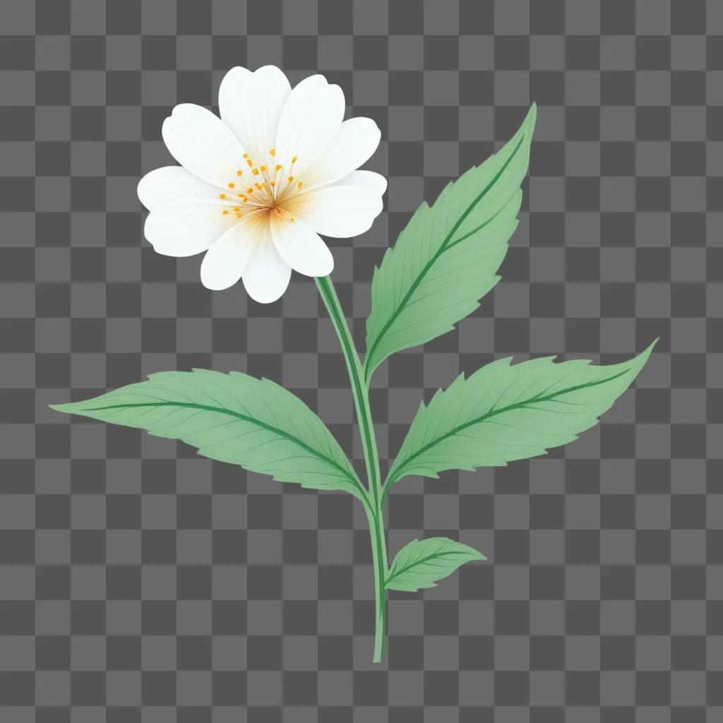 small white flower on green background