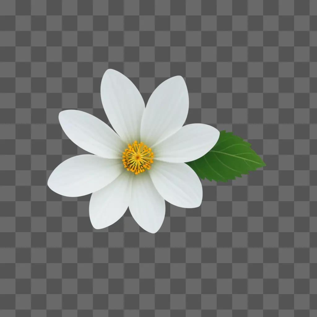 small white flower with a green leaf