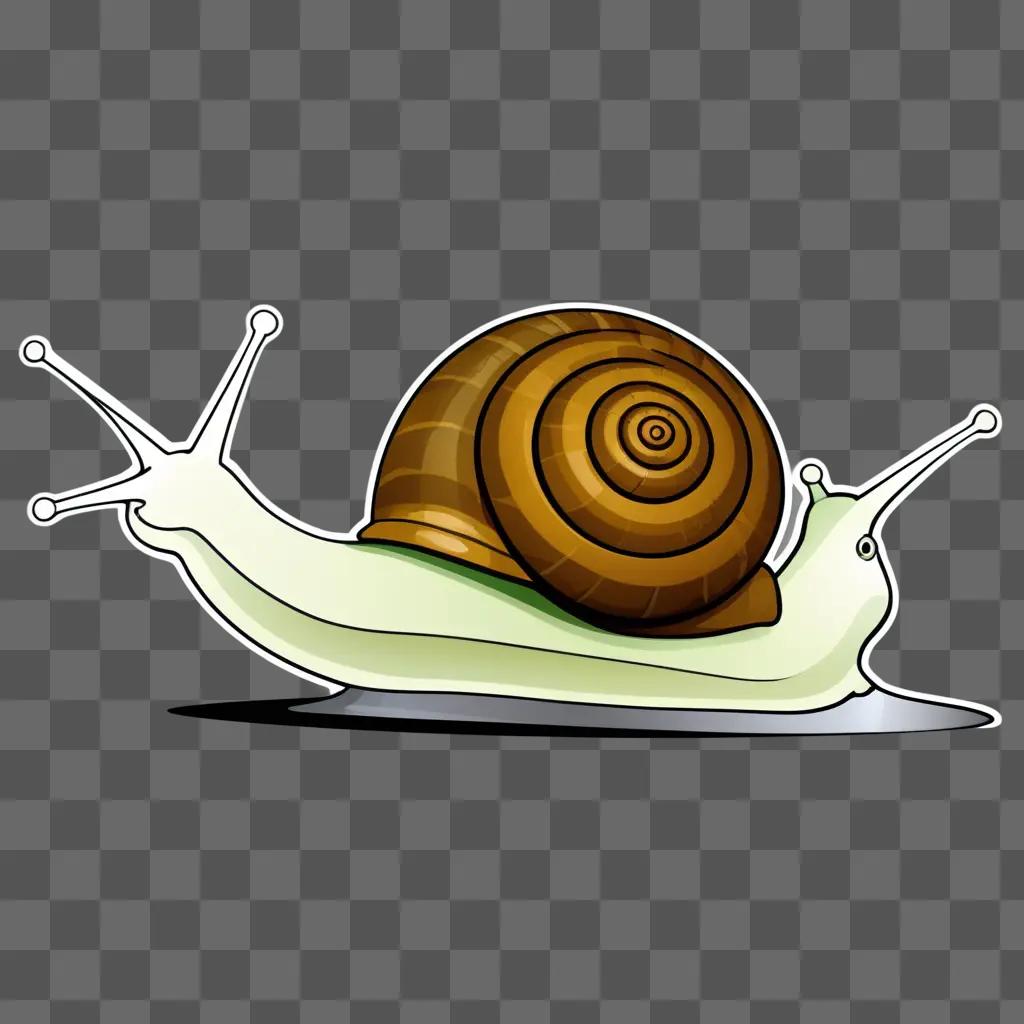 snail is sitting on a background