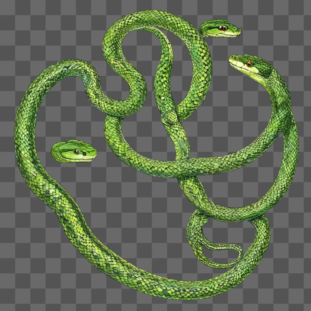 snake drawing for kids Two snakes wrapped around each other on a green background