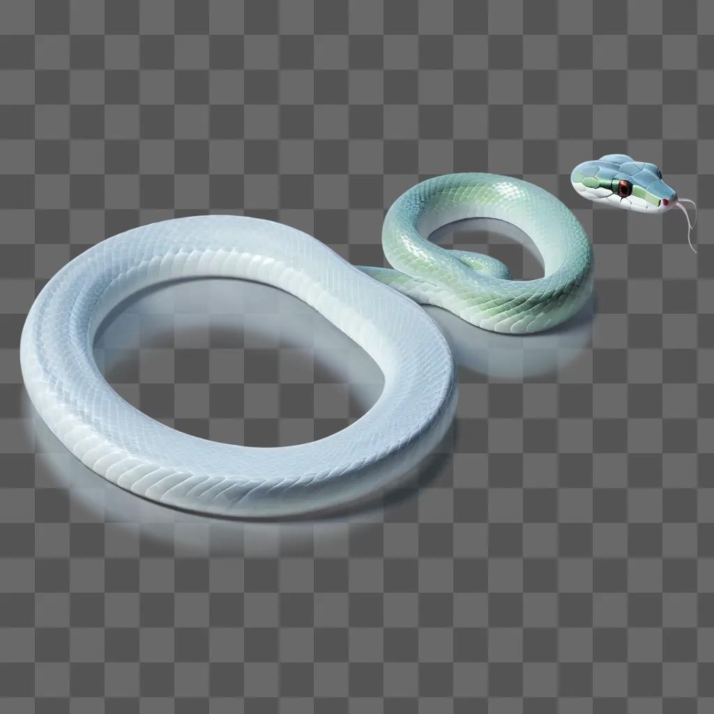 snake is transparently lying on a white surface