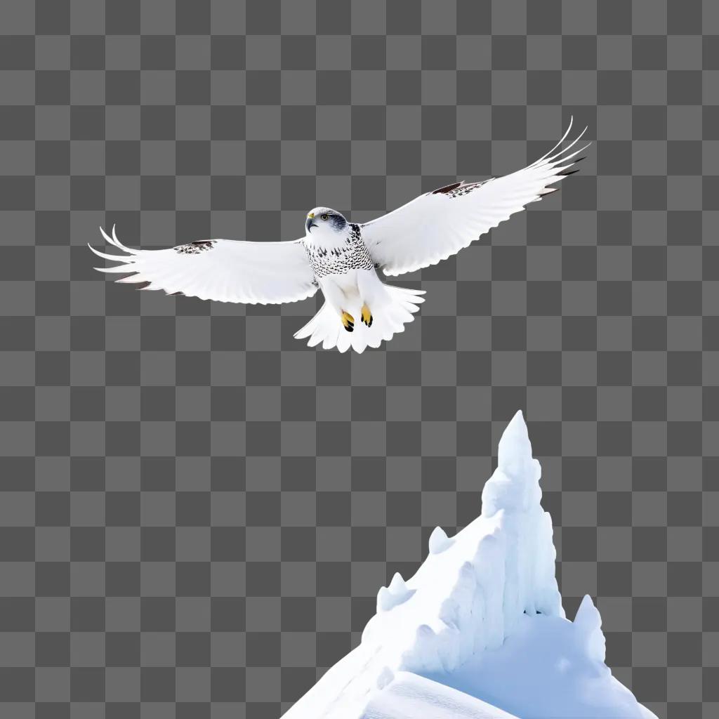 snow falcon in flight with a snow mountain in the background