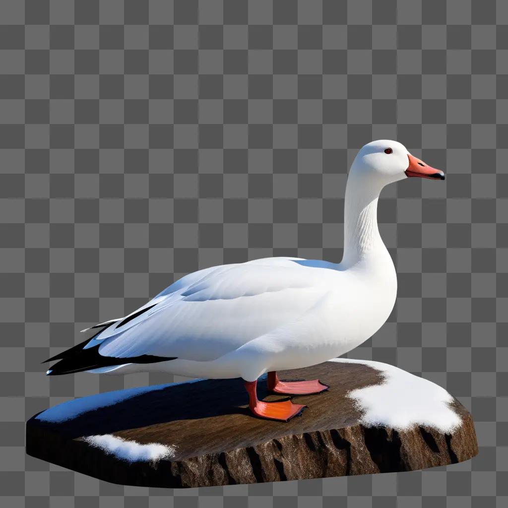 snow goose mounted on a wooden platform with snow on it