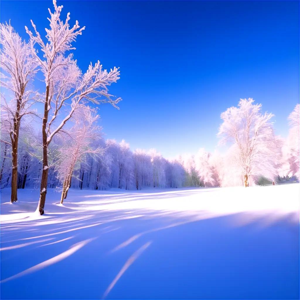 snowy scene with trees and blue sky