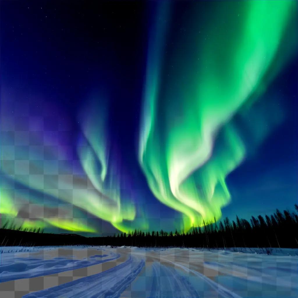 spectacular view of the Northern Lights