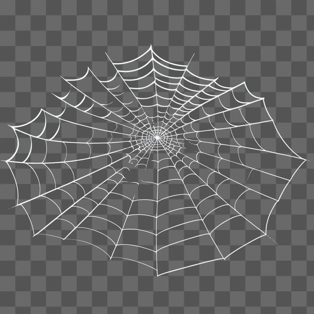 spider web has a spider in it