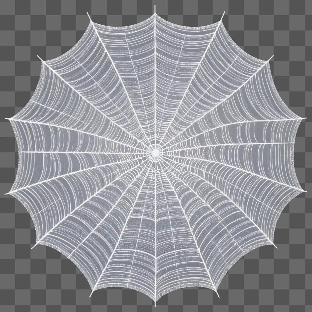 spiderweb on a grey background