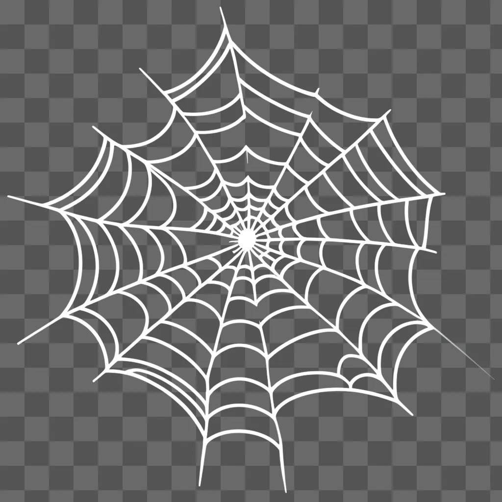 spiderweb on a white background