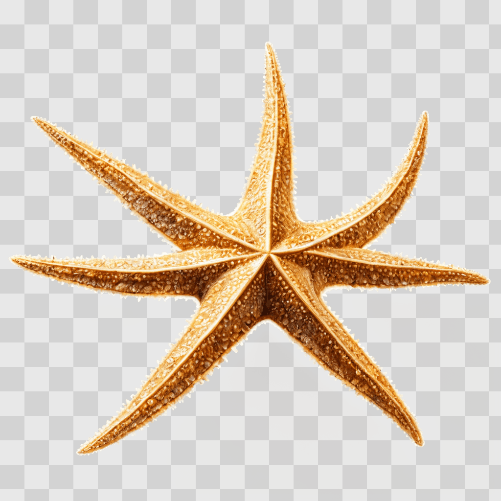 star fish drawing A golden starfish on a tan background