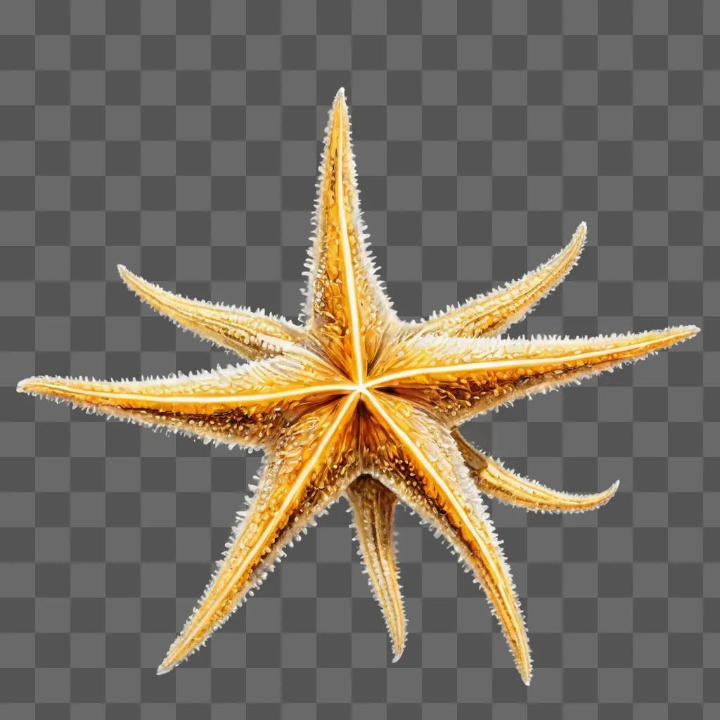 star fish drawing A starfish with starry glow on a beige background