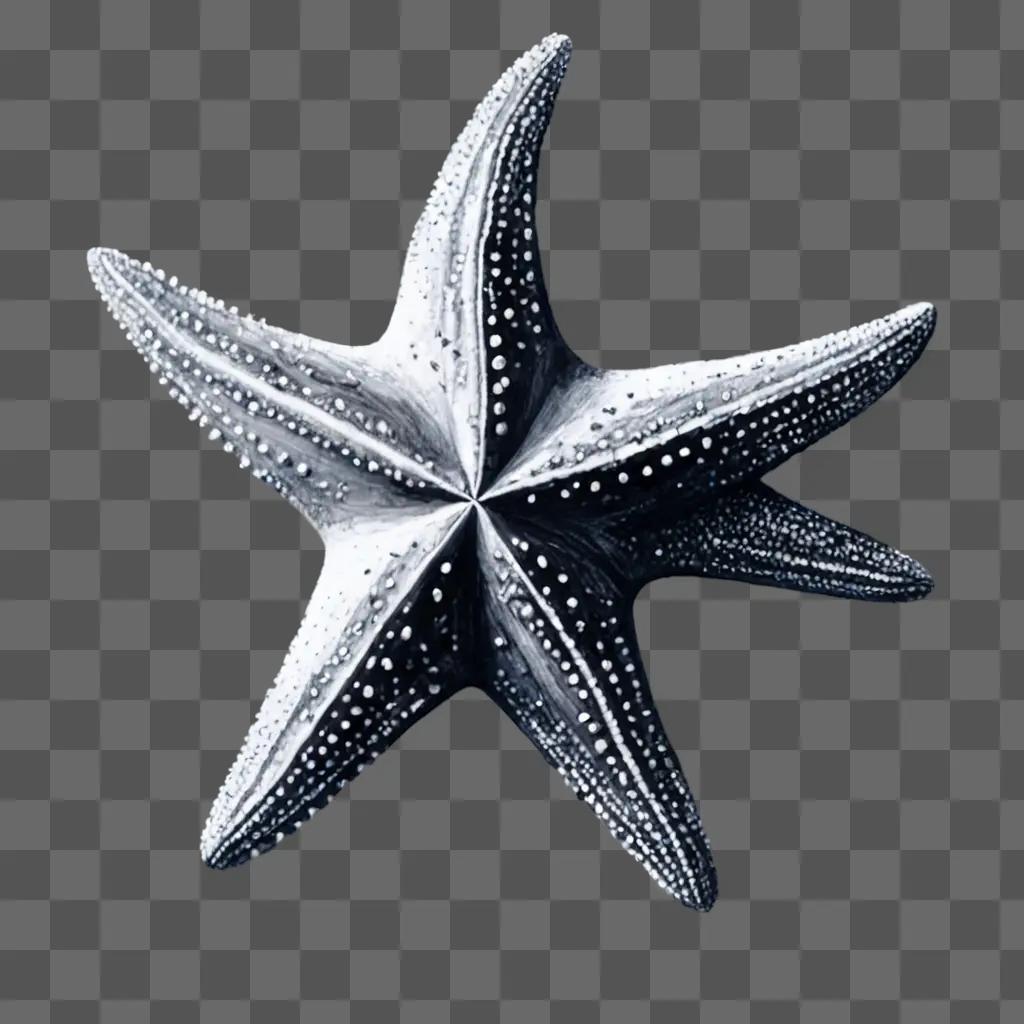 star fish drawing A starfish with white spots and black edges